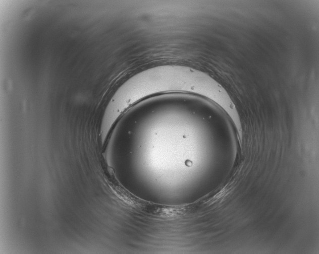 X0000067520188200604150209