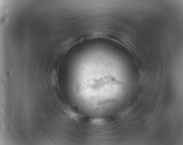 X0000067520189200604150209