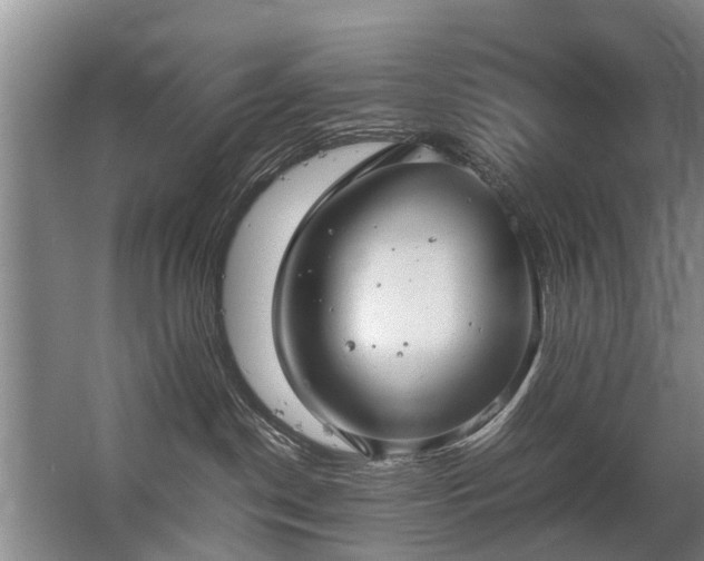 X0000067520190200604150209