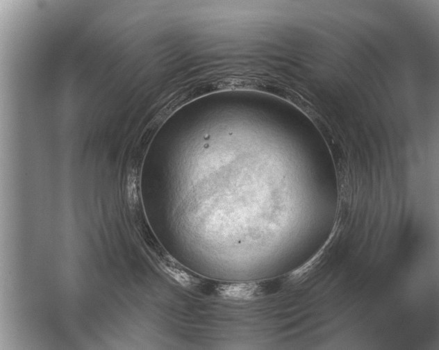 X0000067520191200604150209