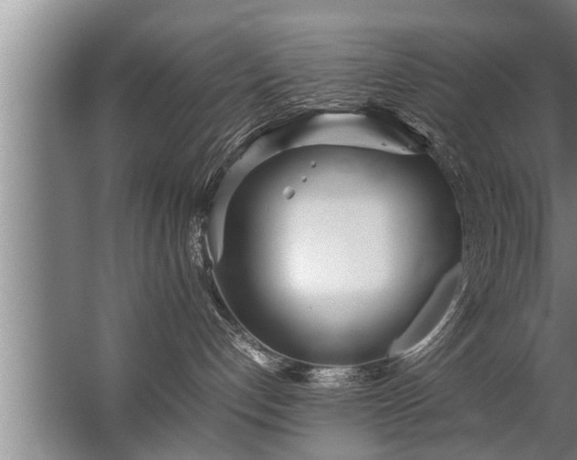 X0000067520192200604150209