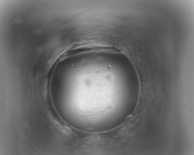 X0000067520194200604150208