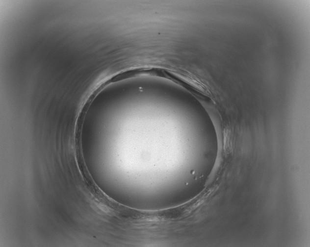 X0000067520195200604150208