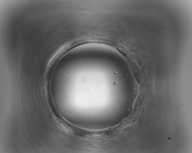 X0000067520197200604150208