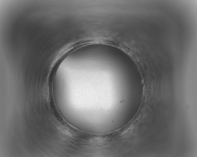 X0000067520198200604150208