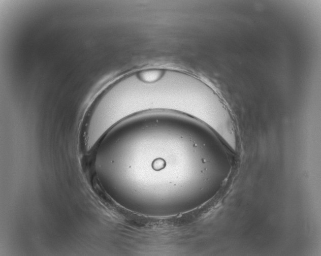 X0000067520199200604150208