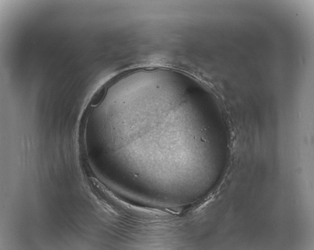 X0000067520200200604150208