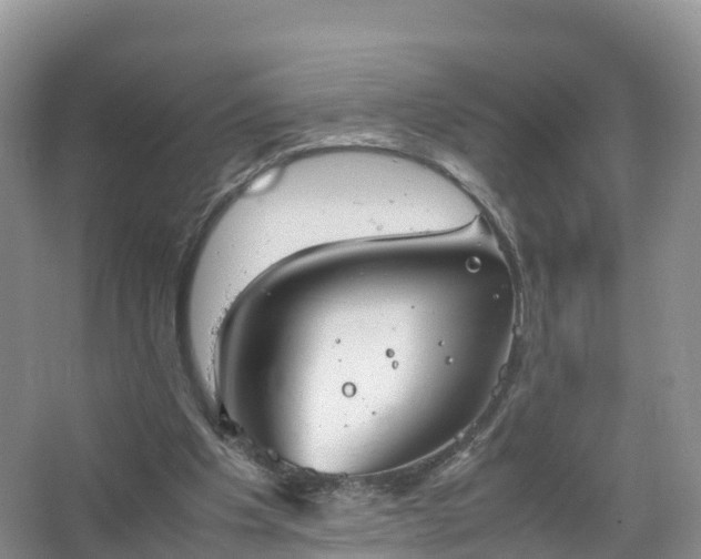 X0000067520201200604150208