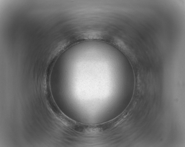 X0000067520202200604150208