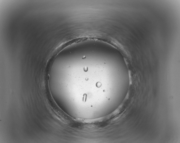 X0000067520203200604150208