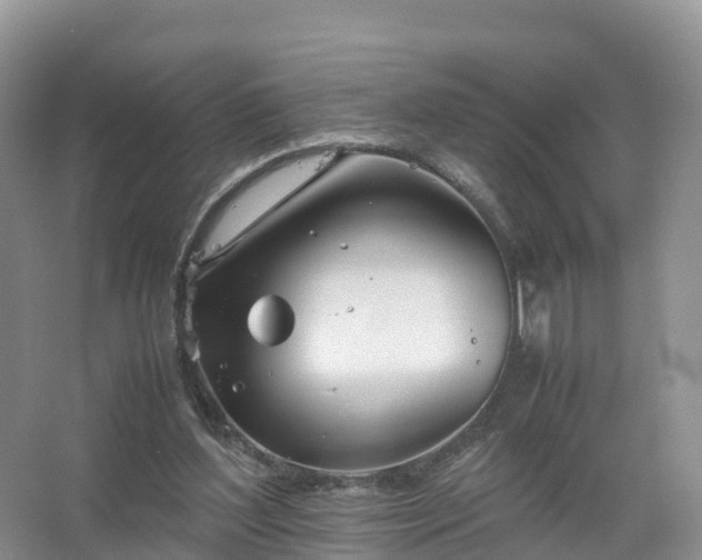 X0000067520204200604150208