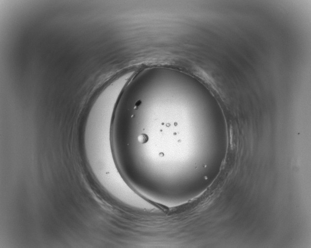 X0000067520205200604150208