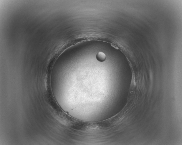 X0000067520206200604150208