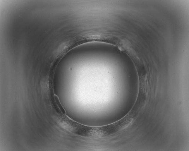 X0000067520207200604150208