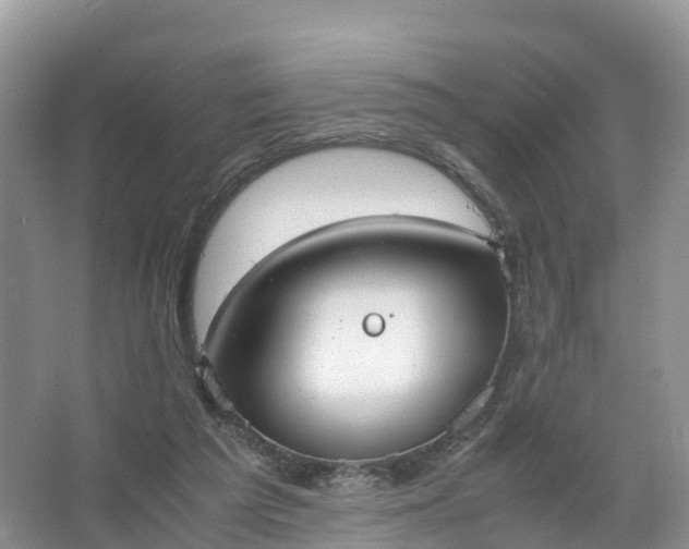 X0000067520209200604150208