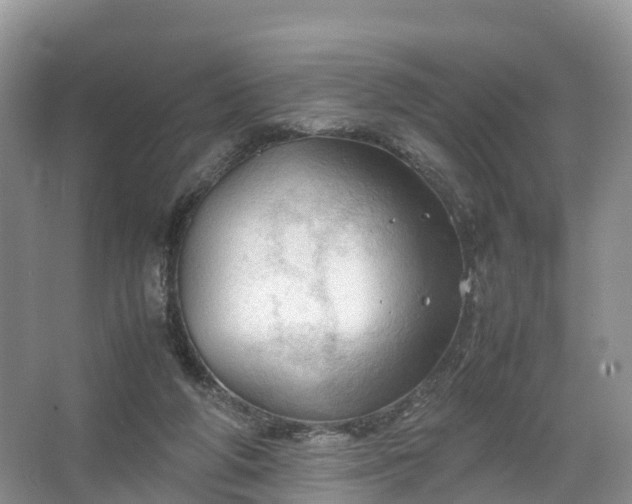 X0000067520210200604150208