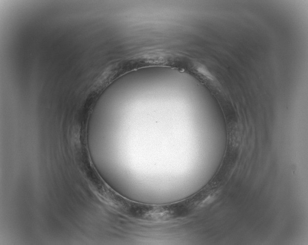 X0000067520213200604150208