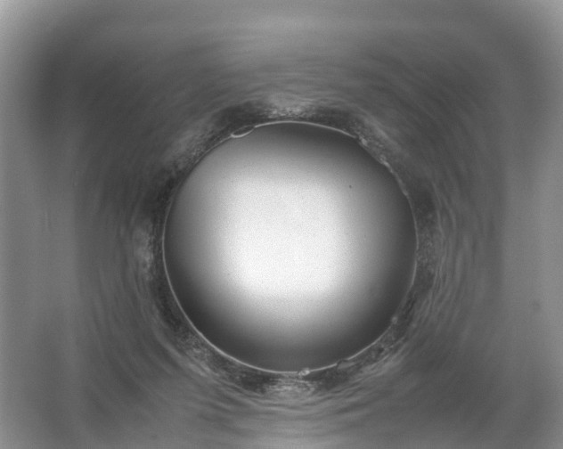 X0000067520215200604150208