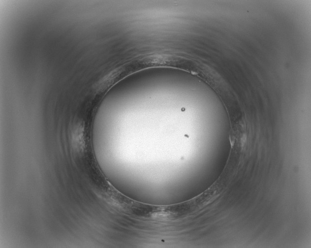 X0000067520216200604150208