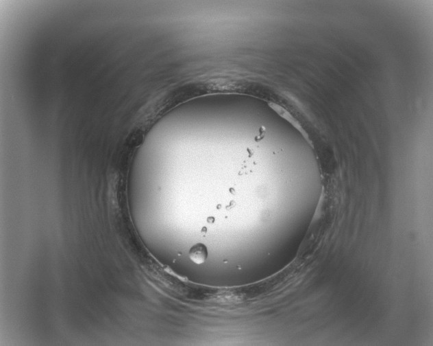 X0000067520217200604150208