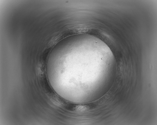 X0000067520218200604150208