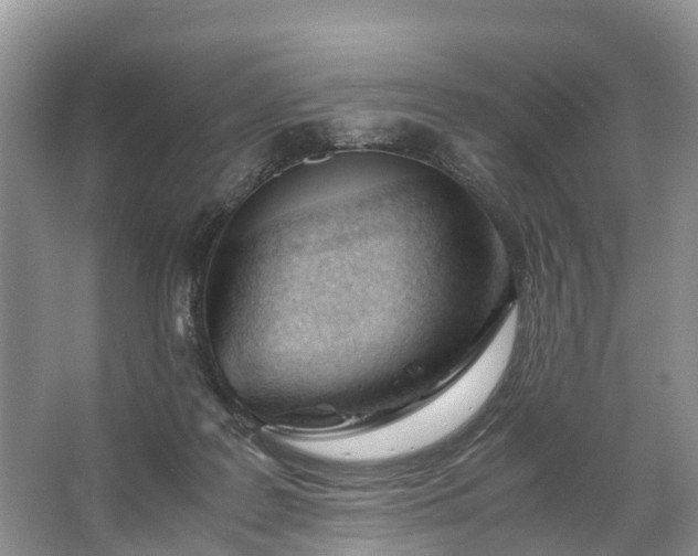 X0000067520219200604150208