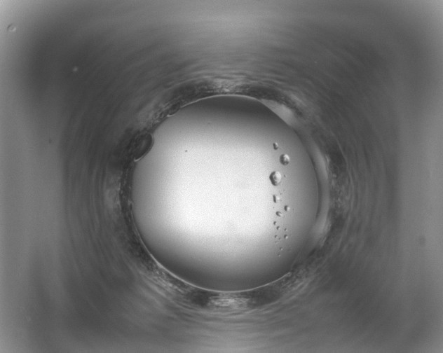 X0000067520221200604150208