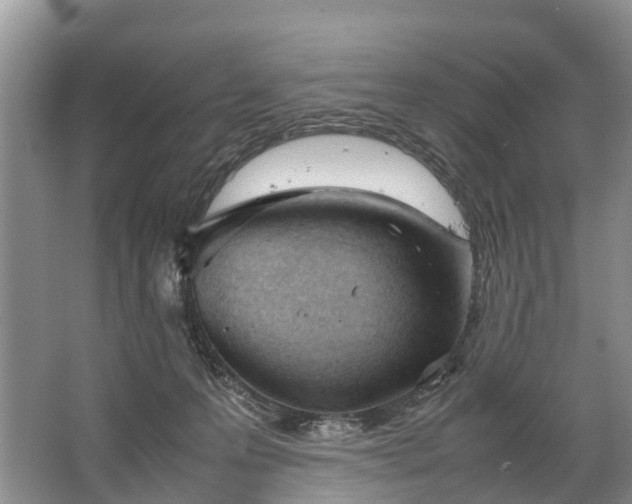 X0000067520223200604150208