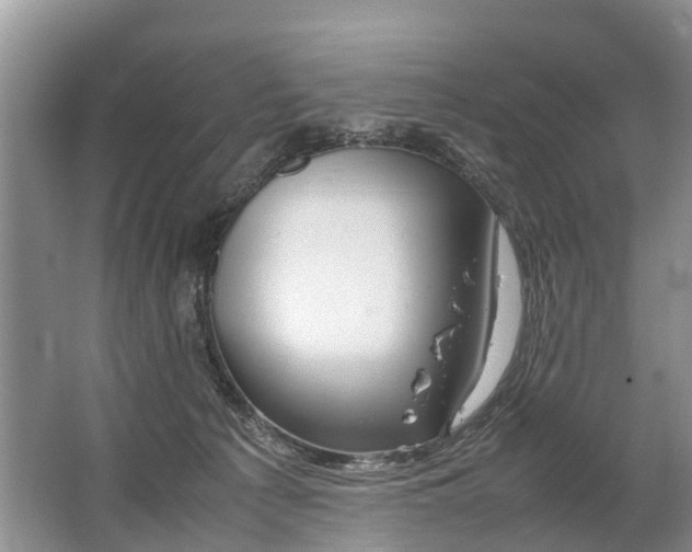 X0000067520225200604150208