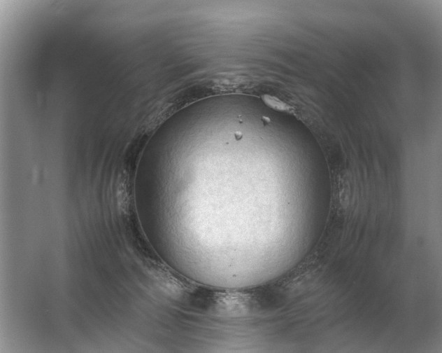 X0000067520226200604150208