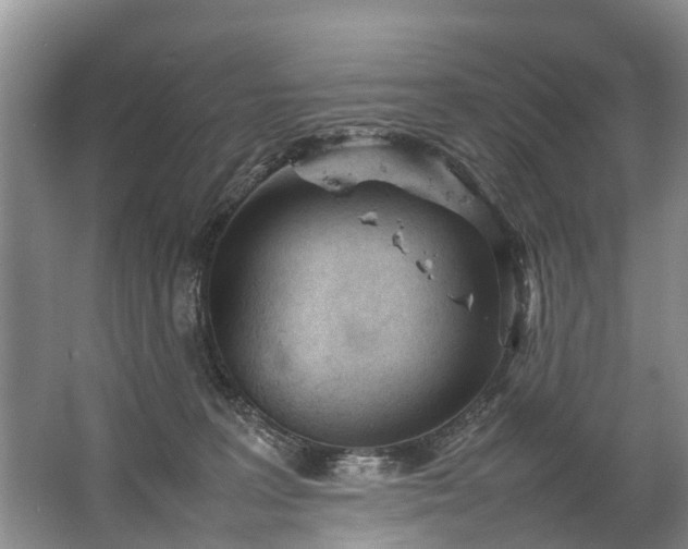 X0000067520227200604150208