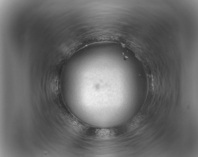 X0000067520230200604150208