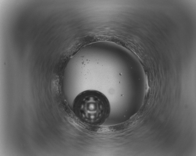 X0000067520231200604150208