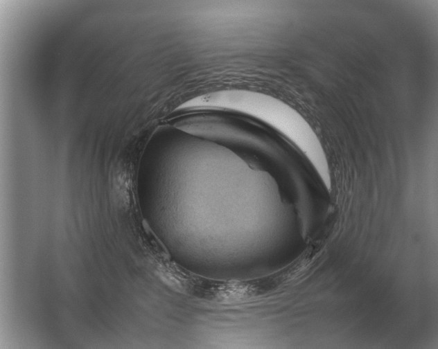 X0000067520235200604150208