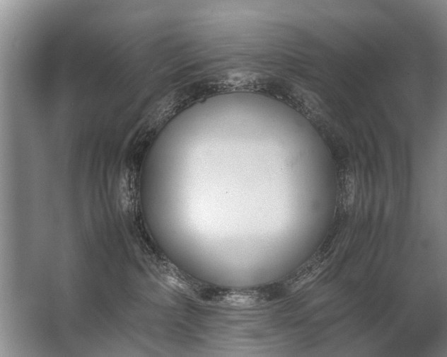 X0000067520236200604150208