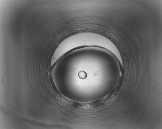 X0000067520237200604150208