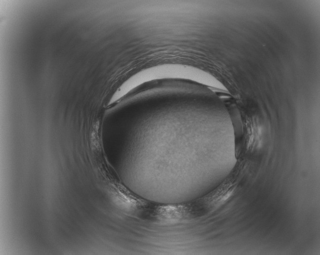 X0000067520239200604150208