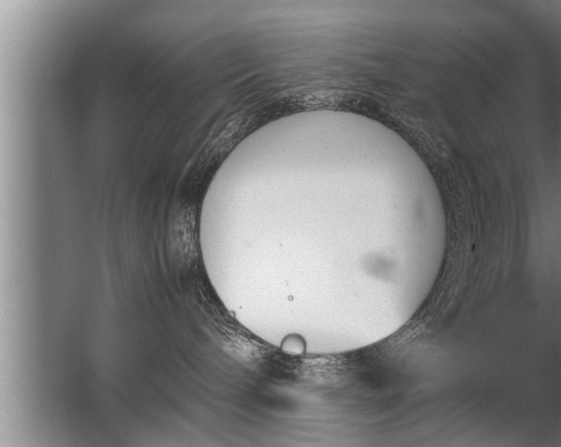 X0000067520240200604150208