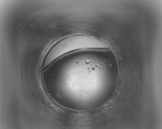 X0000067520241200604150207