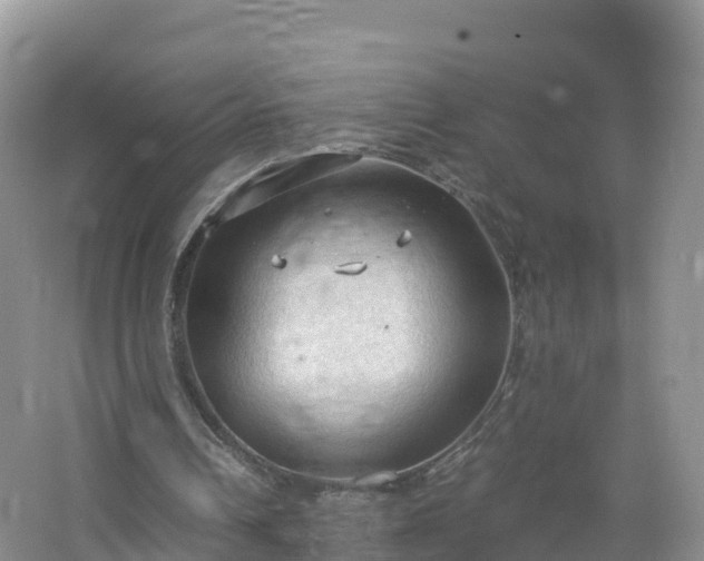 X0000067520242200604150207