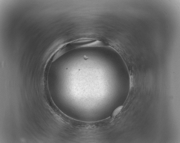 X0000067520243200604150207