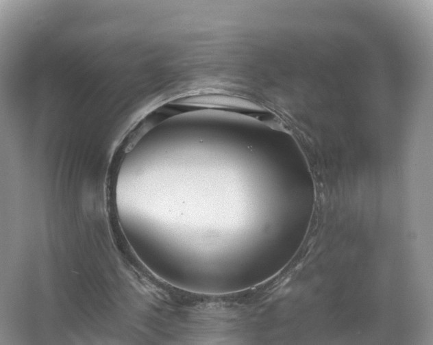 X0000067520244200604150207