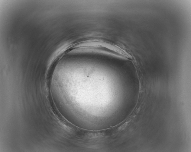 X0000067520245200604150207