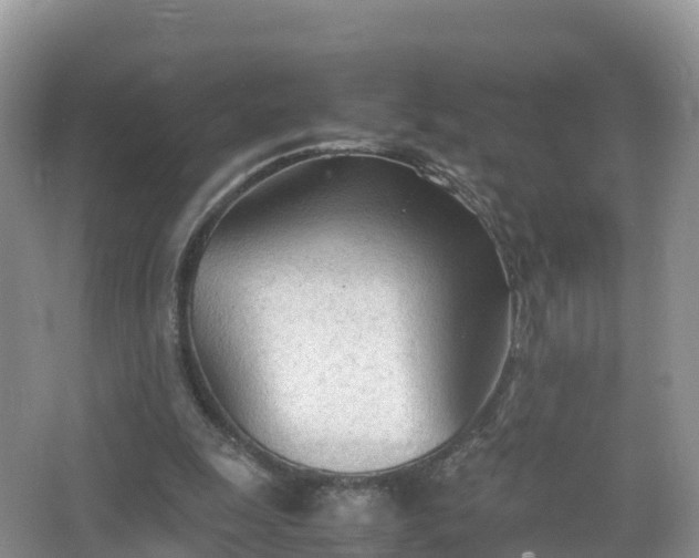 X0000067520247200604150207