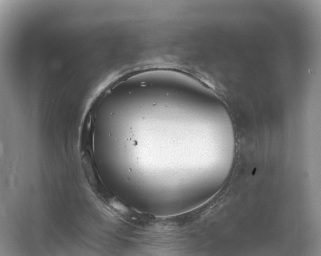 X0000067520248200604150207