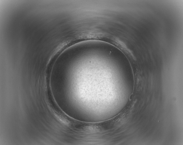 X0000067520250200604150207