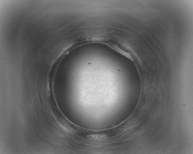 X0000067520251200604150207