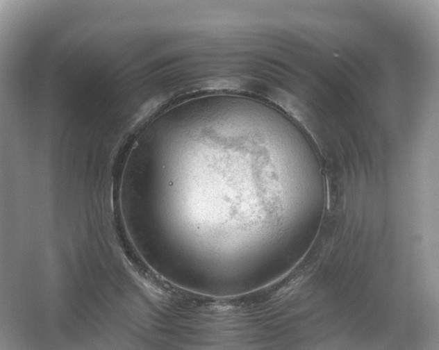 X0000067520253200604150207