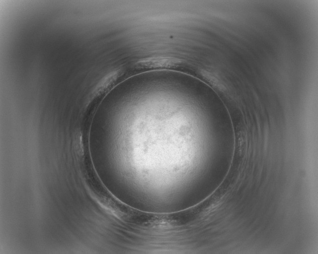 X0000067520254200604150207