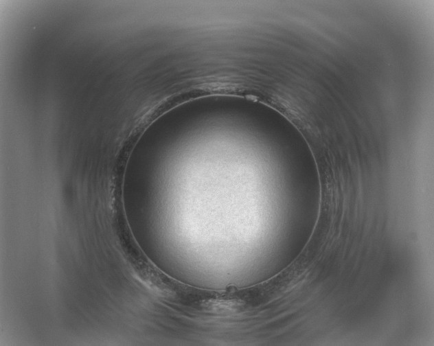 X0000067520255200604150207